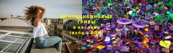 стафф Богданович